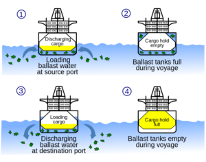 Ballast Water explained
